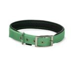 PET INTEREST M DOG COLLAR GREEN 50 CM