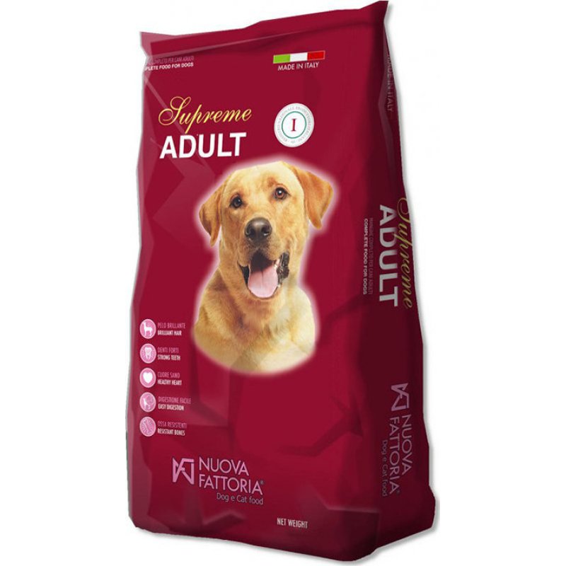 d93444_fbe0e9958b7040bf8f347530e8abaf51mv2